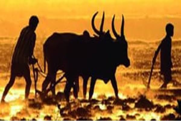 यंदाच्या ओल्या दुष्काळामुळे अनेक शेतकरी बांधव मोठ्या अडचणीत आहेत. त्यांच्या संकटात त्यांना मदत करणे, हेच खरे लक्ष्मीपूजन आहे- डॉ. पराग काळकर